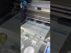 Imprimante de Digital d'habillement de protection de l'environnement de machine d'impression de Dtf de rail du Japon Thk