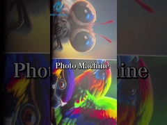 Machine à base d'eau de Logo Digital Colour Photo Printing d'imprimante de format large