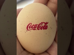 Imprimante UV Maximum Width du millimètre DTF de la taille 1062 620 millimètres d'encre Jet Printer de Digital